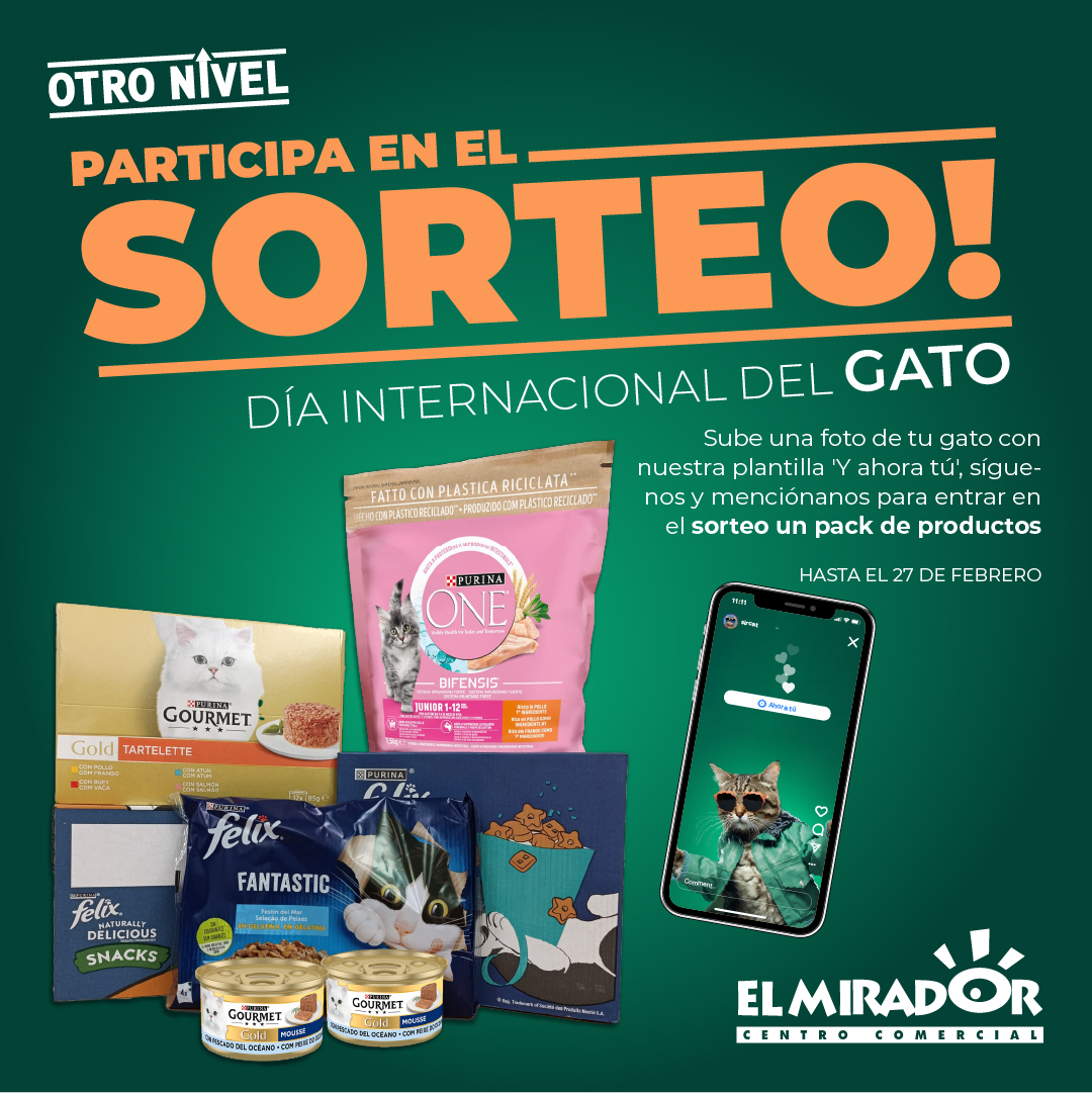 Em_dia gato_cuadrada