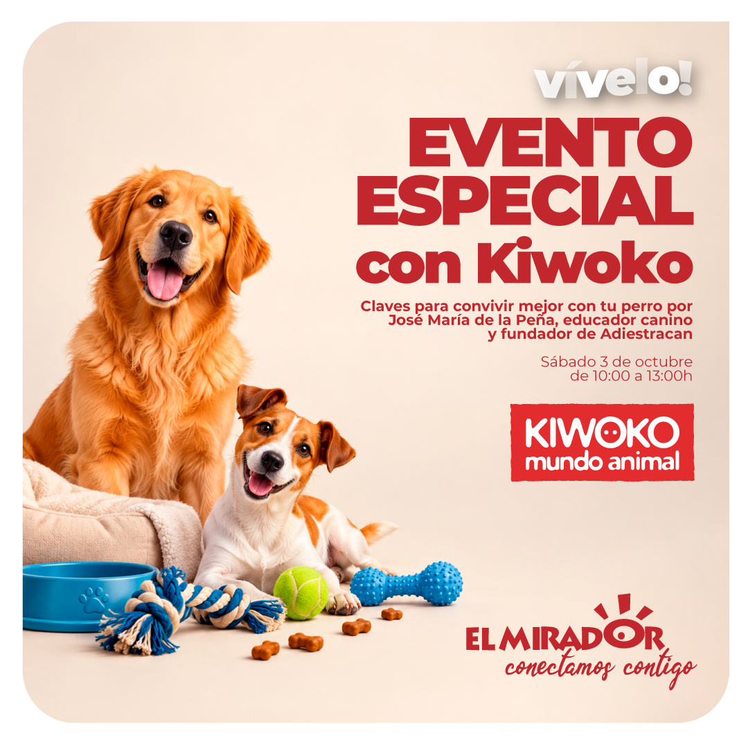 1 1mb_evento_kiwoko