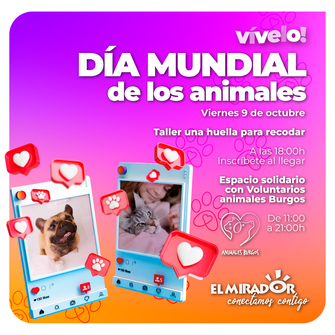 1 1mb_taller_animales