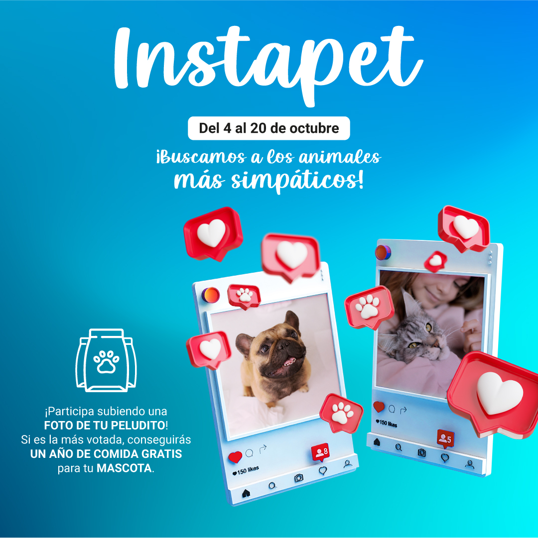 Lan_instapet_web_movil