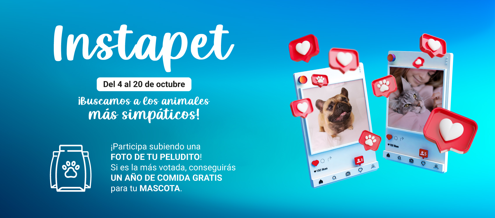 Lp_instapet_web_escritorio